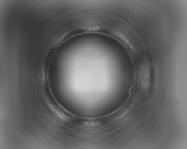 X0000075820541200609151215