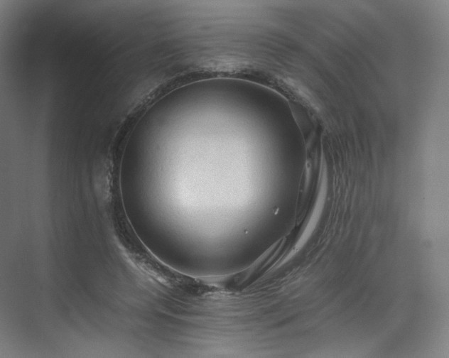 X0000075820544200609151215