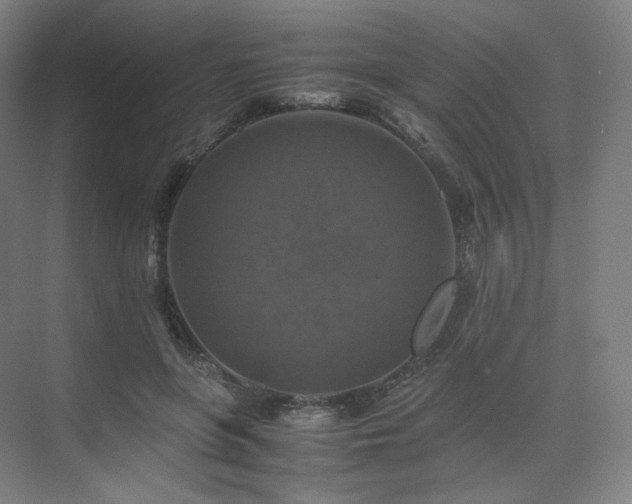 X0000075820551200609151215