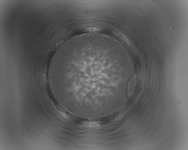 X0000075820553200609151215