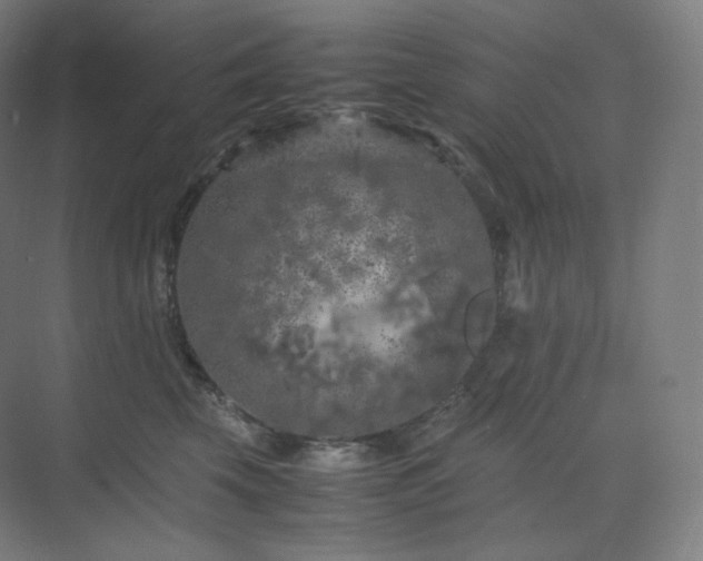 X0000075820569200609151215