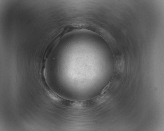 X0000075820574200609151215