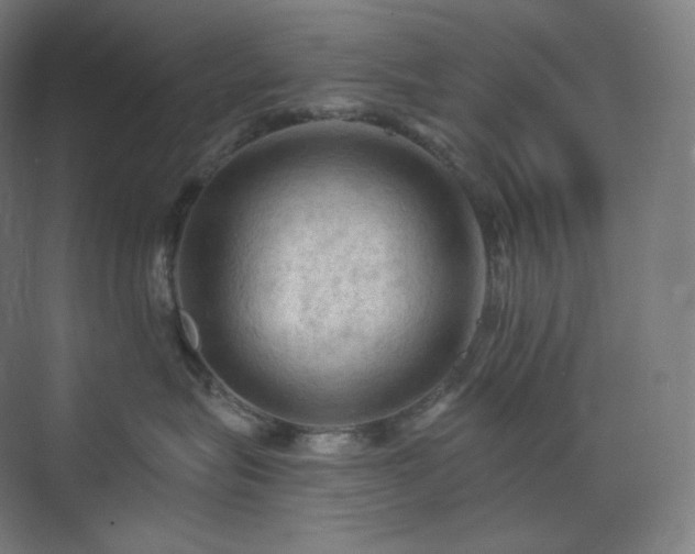 X0000075820575200609151215