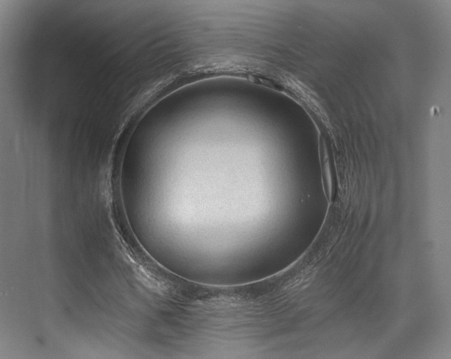 X0000075820578200609151215