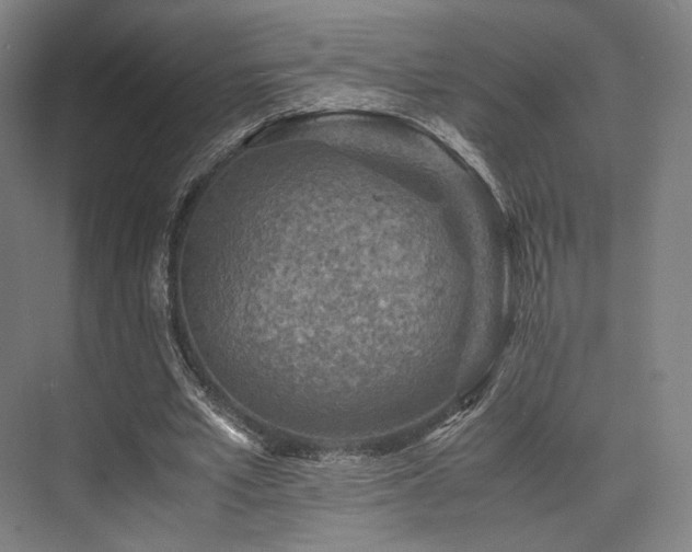 X0000075820581200609151215
