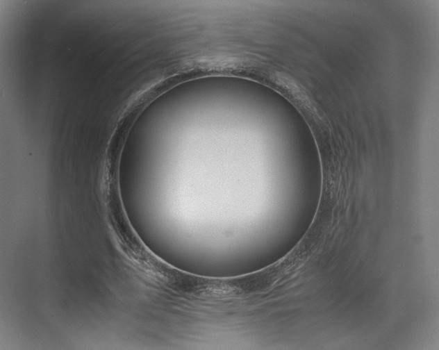 X0000075820583200609151215