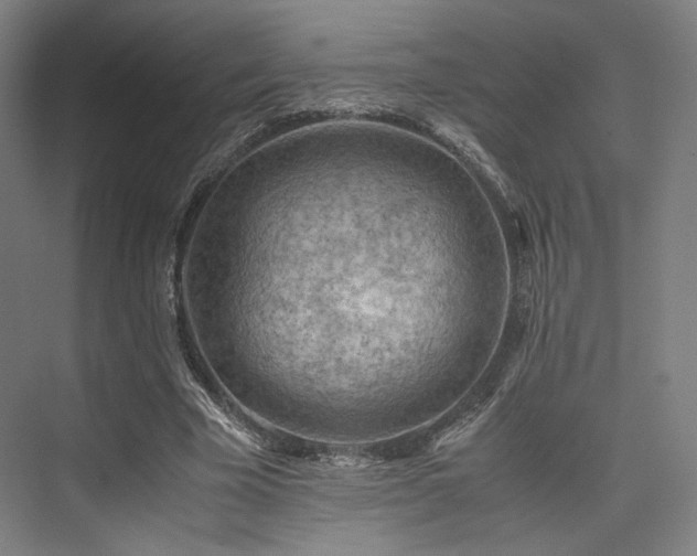 X0000075820585200609151214