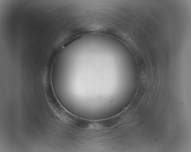X0000075820591200609151214