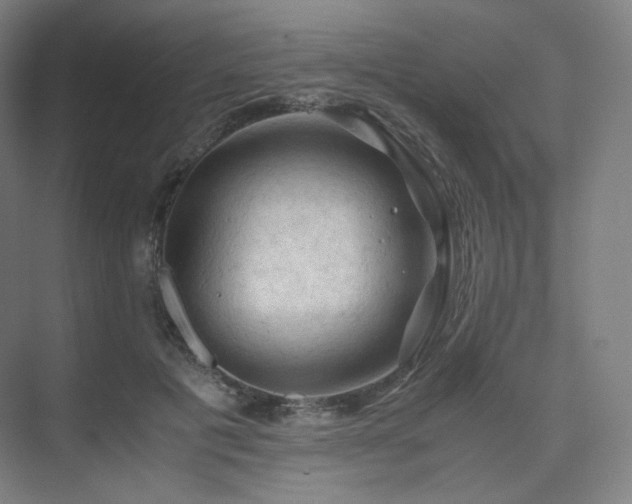 X0000075820601200609151214