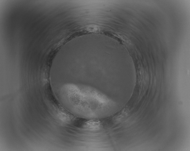 X0000075820606200609151214