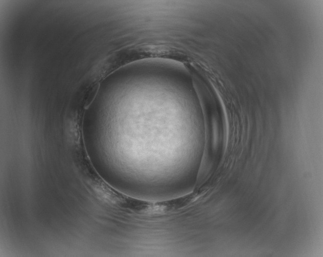 X0000075820609200609151214