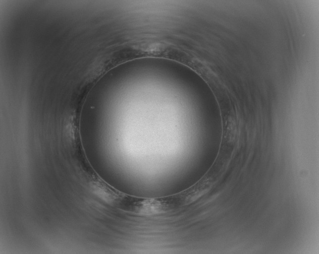 X0000075820612200609151214