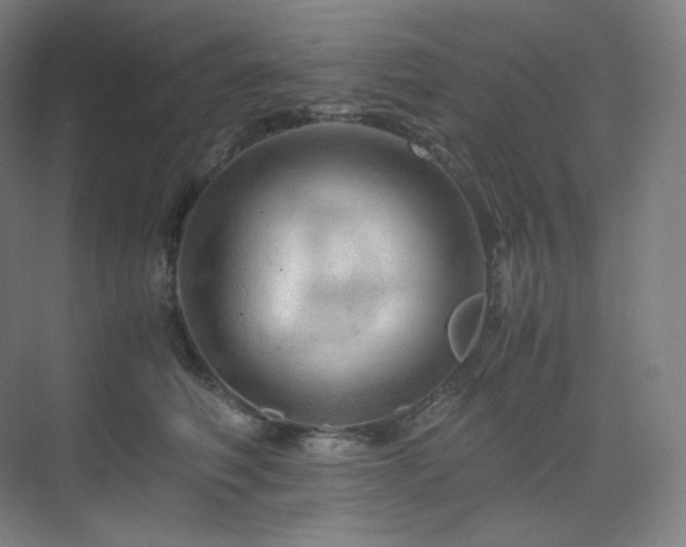 X0000075820614200609151214