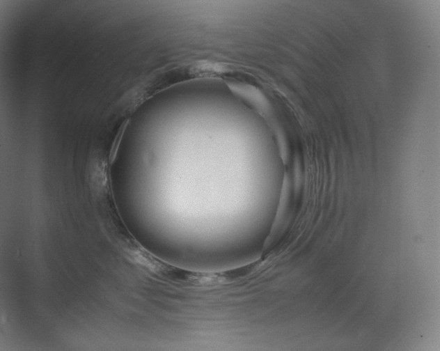 X0000075820621200609151214