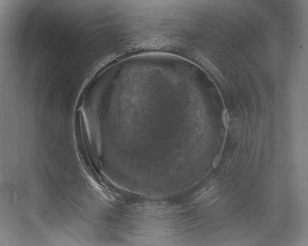X0000075820626200609151213