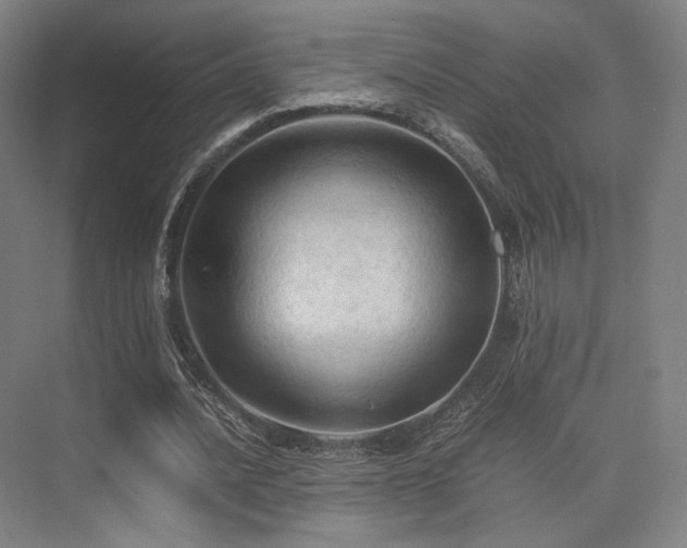 X0000075820628200609151213