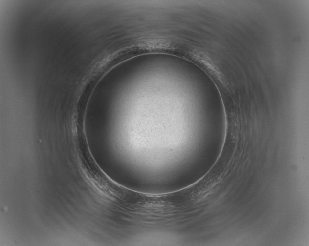 X0000075820631200609151213
