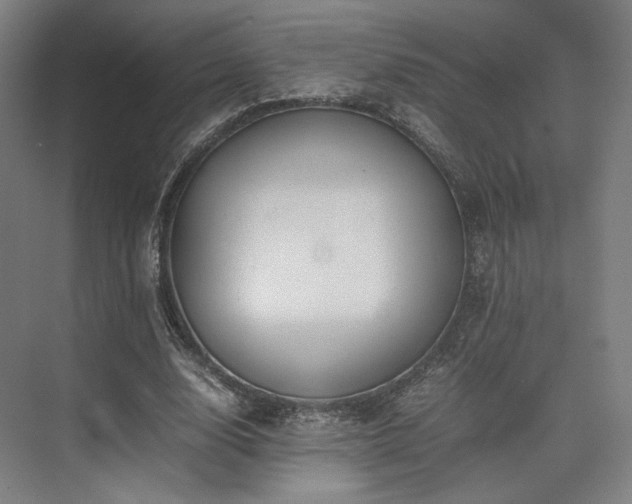 X0000075820632200609151213
