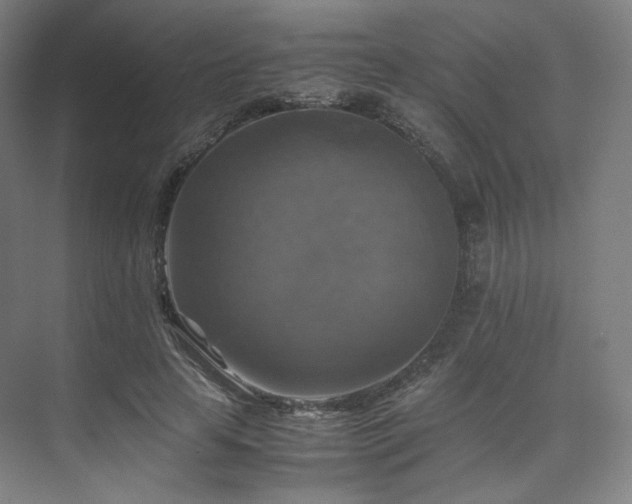X0000075820641200609151213