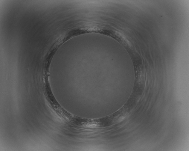 X0000075820643200609151213
