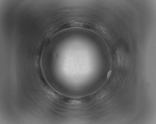 X0000075820649200609151213
