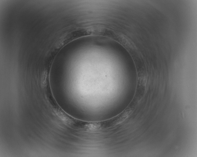 X0000075820660200609151214