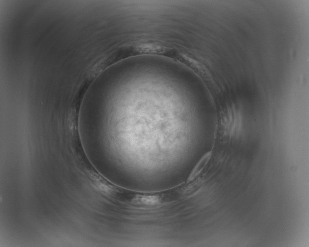 X0000075820665200609151214
