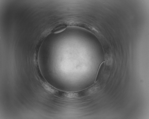 X0000075820670200609151214