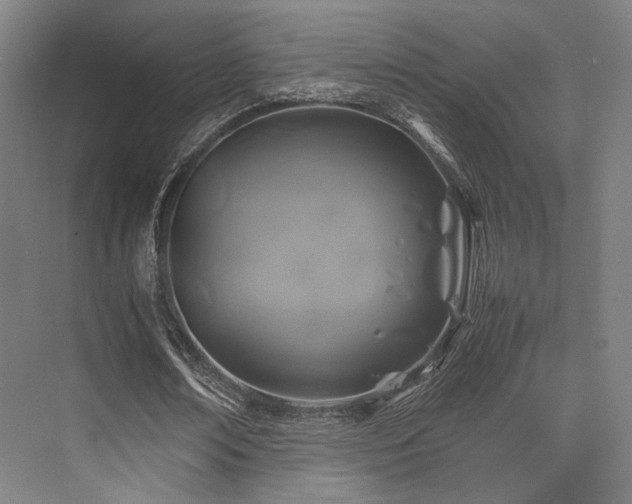 X0000075820674200609151213