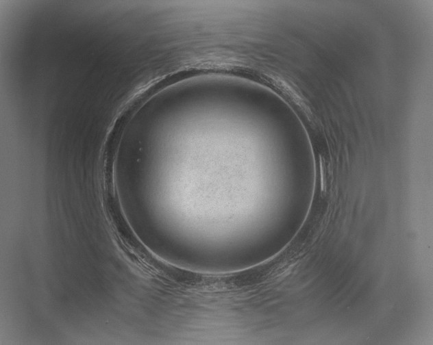 X0000075820675200609151213