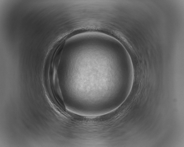 X0000075820677200609151213