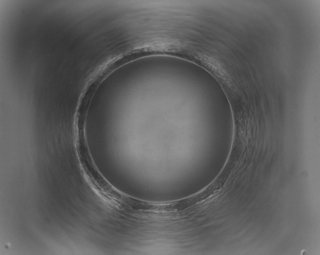 X0000075820678200609151213
