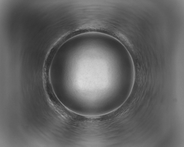 X0000075820680200609151213