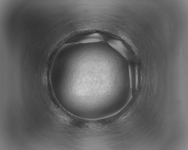 X0000075820681200609151213