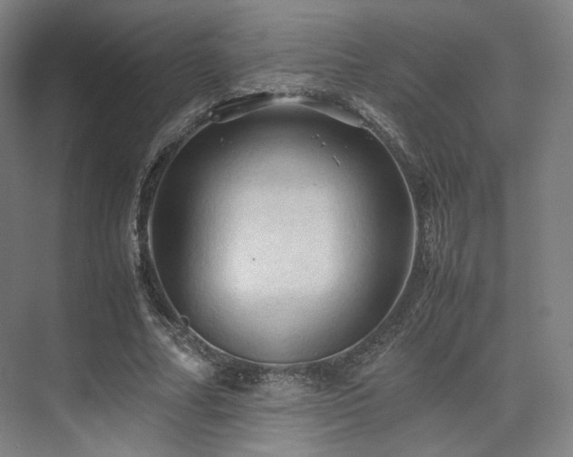 X0000075820682200609151213