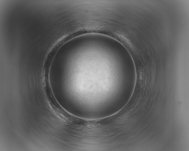 X0000075820684200609151213