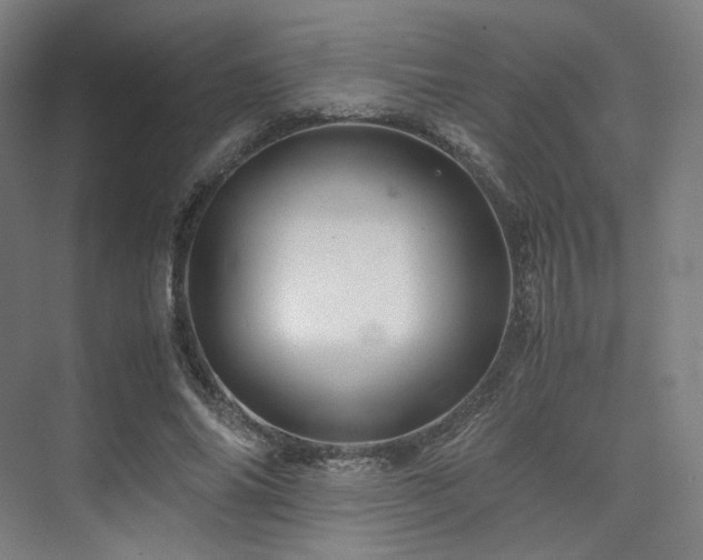X0000075820686200609151213