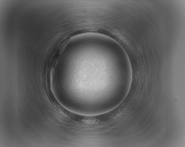 X0000075820693200609151213