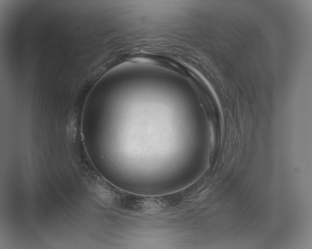 X0000075820697200609151213