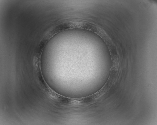 X0000075820701200609151213