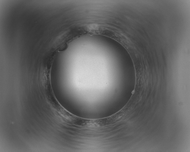 X0000075820702200609151212