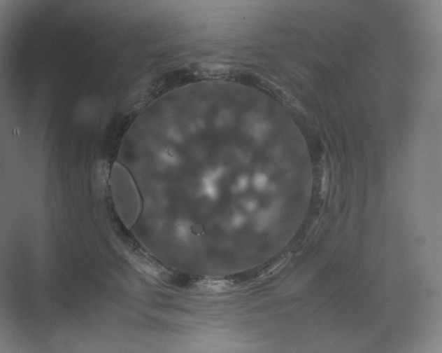 X0000075820711200609151212