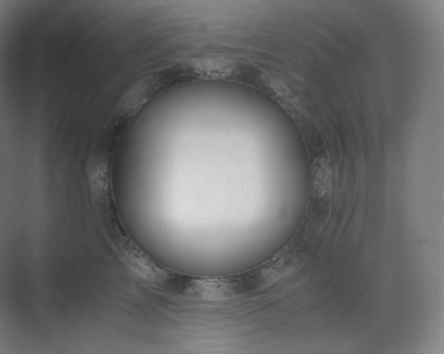 X0000075820713200609151212