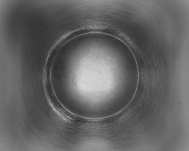 X0000075820726200609151211