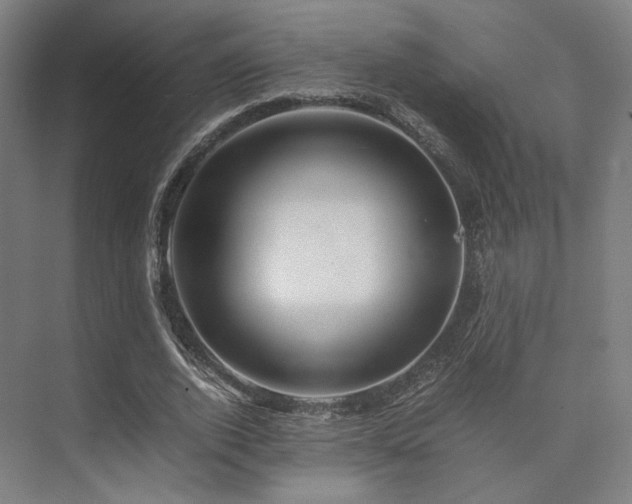 X0000075820728200609151211