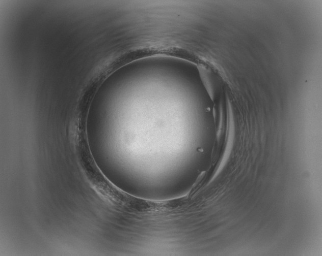 X0000075820736200609151212
