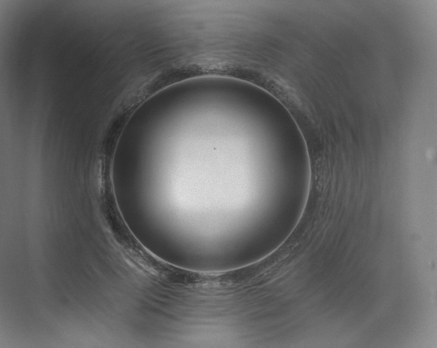 X0000075820740200609151212