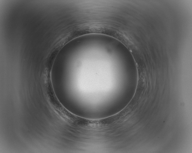 X0000075820744200609151212
