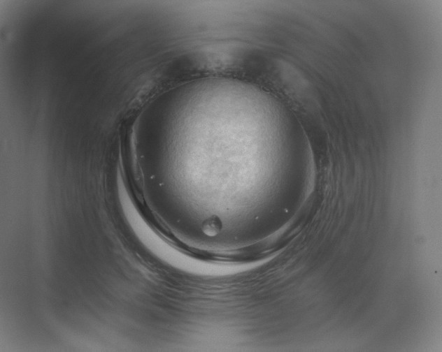 X0000075820750200609151212
