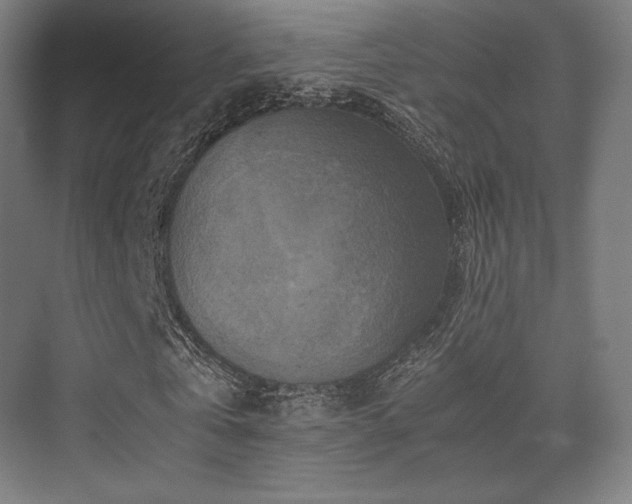 X0000075820769200609151211